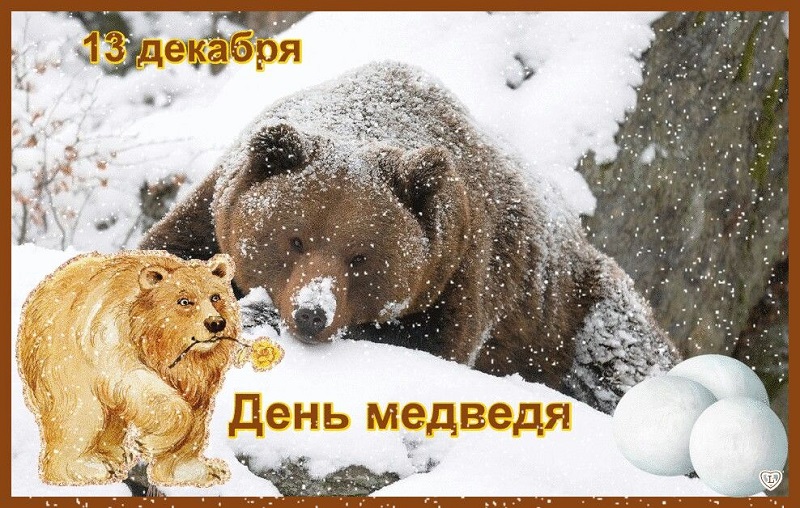 ЭТО ИНТЕРЕСНО Какие есть у нашего знакомого - бурого русского медведя - загранич