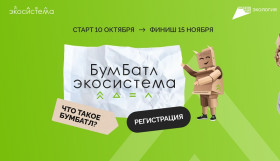 Акция "БумБатл".