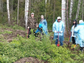 Акция «Сад памяти» прошла 15 мая на территории Родниковского района.