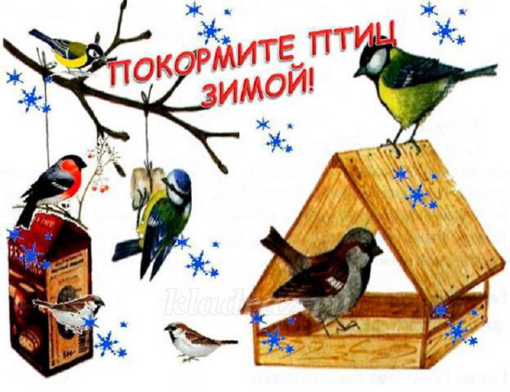 Участие в акции &quot;Покормите птиц зимой!&quot;.