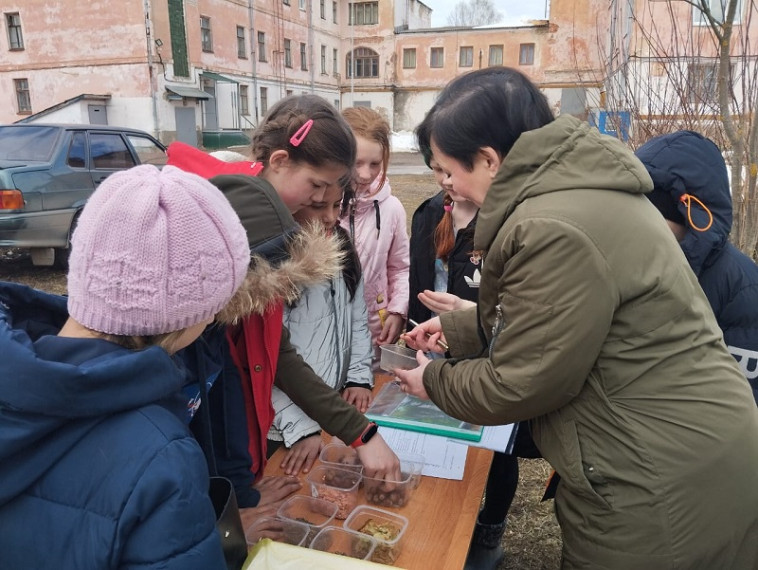 Международный день лесов.