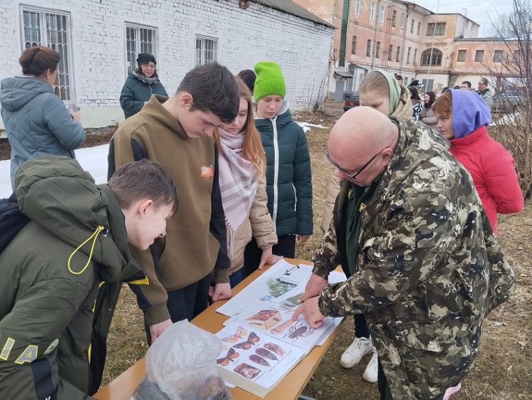 Международный день лесов.