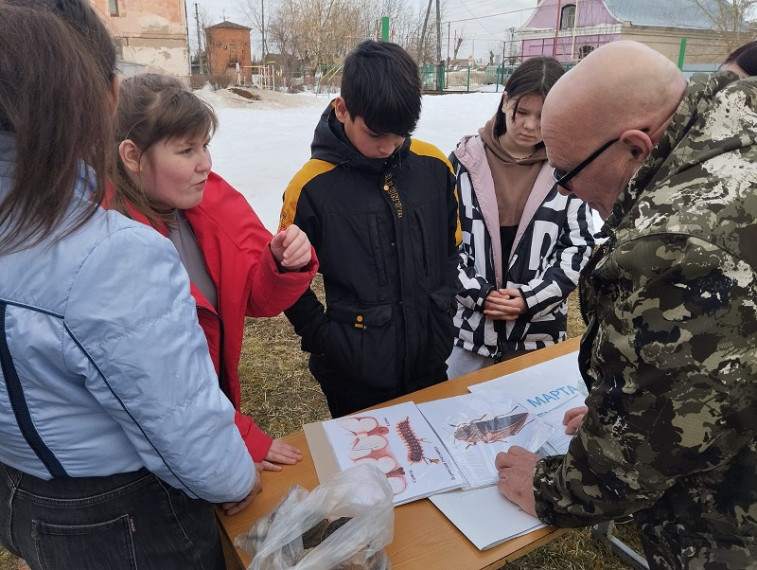 Международный день лесов.