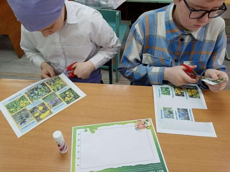 ПОЧЕМУ ИСЧЕЗАЮТ ПОДСНЕЖНИКИ?.